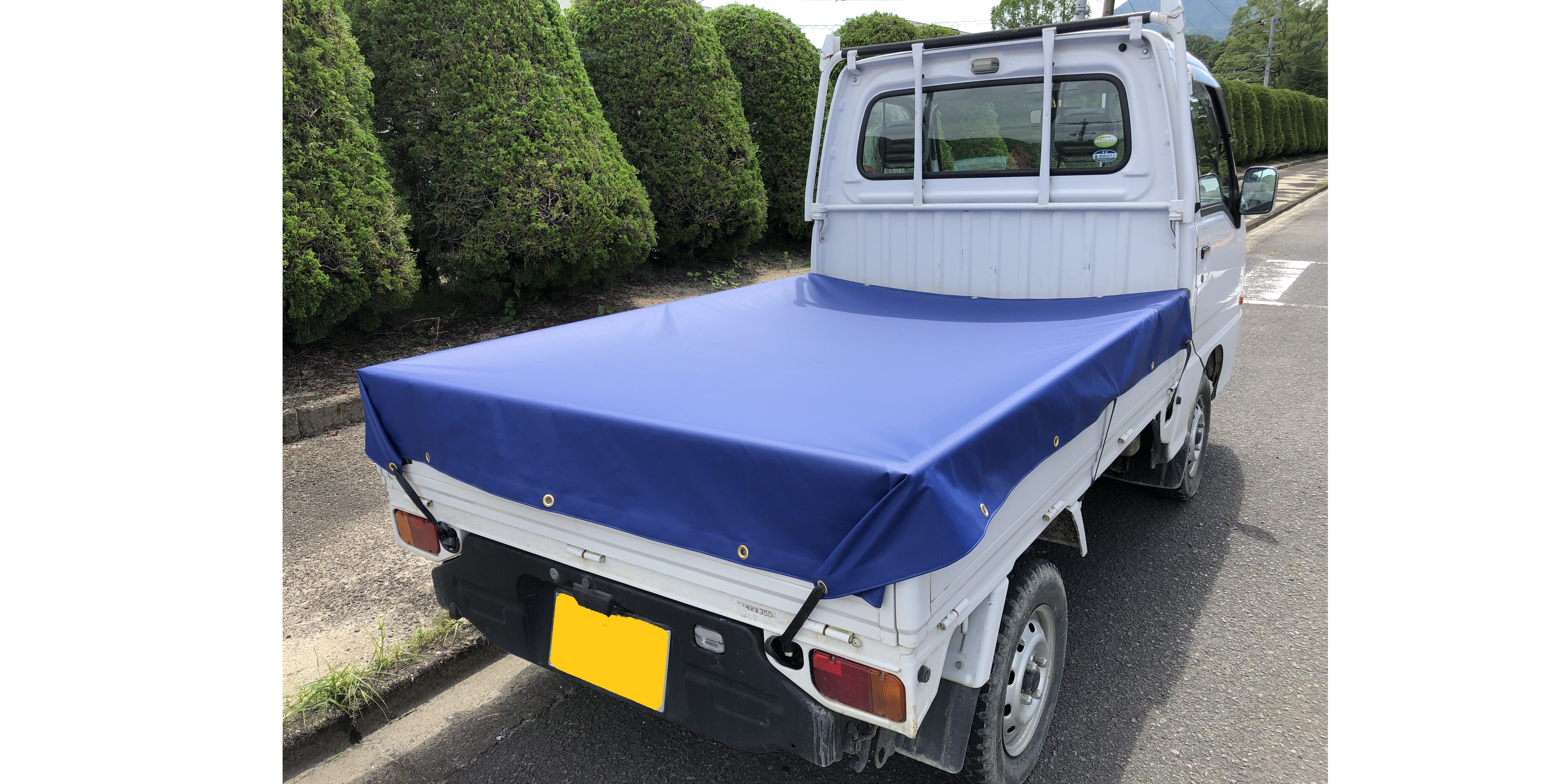 カラーターポリン35