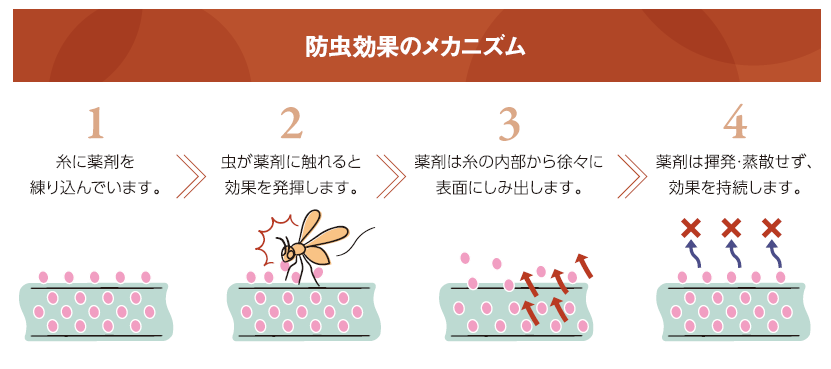 スサノヲの糸