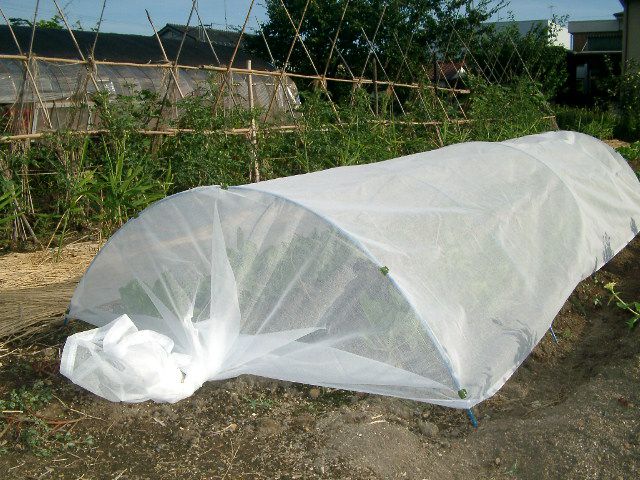 防虫・寒冷・不織布・マルチ等