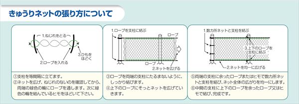 きゅうりネット・エンドウネットの張り方