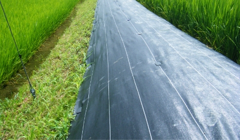 防草シート