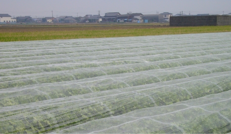 ベタガケ・トンネル資材