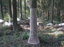 樹皮保護用資材